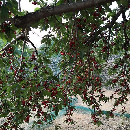 Alle Pendici Dell'Etna Ragalna Екстериор снимка