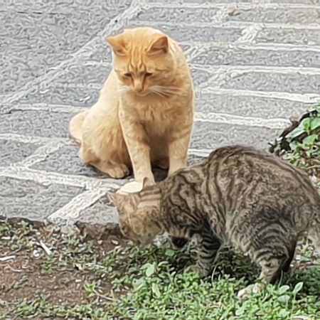 Alle Pendici Dell'Etna Ragalna Екстериор снимка