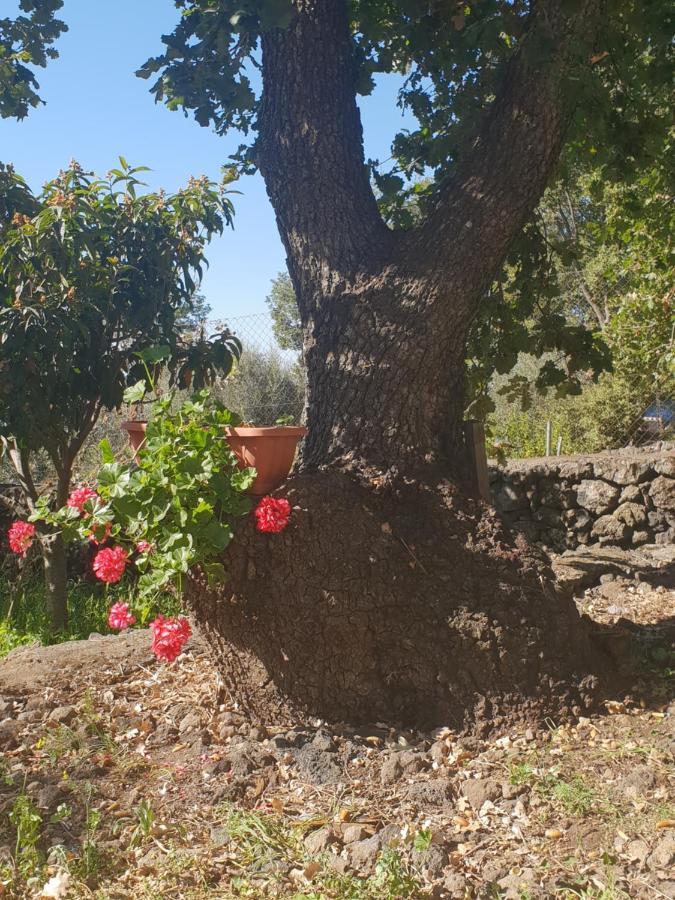 Alle Pendici Dell'Etna Ragalna Екстериор снимка