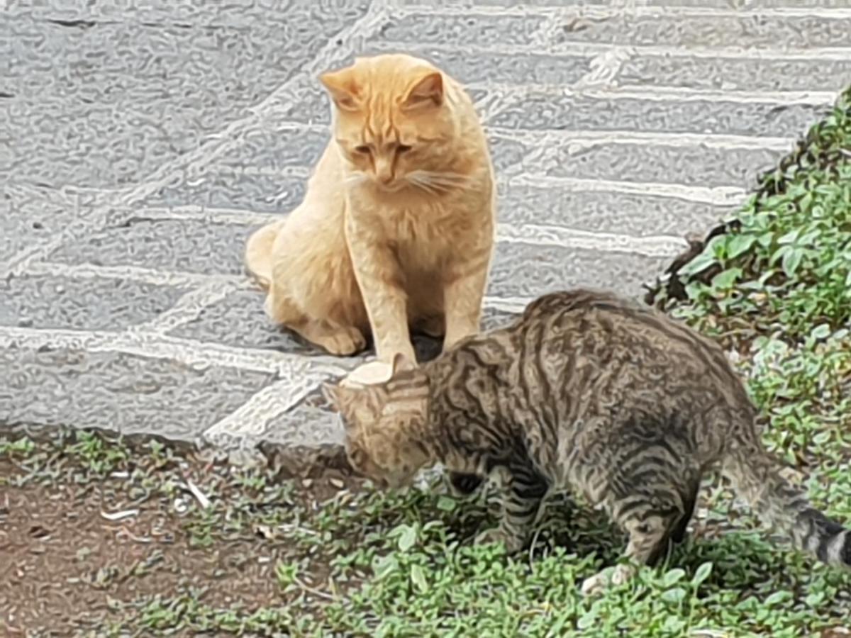 Alle Pendici Dell'Etna Ragalna Екстериор снимка